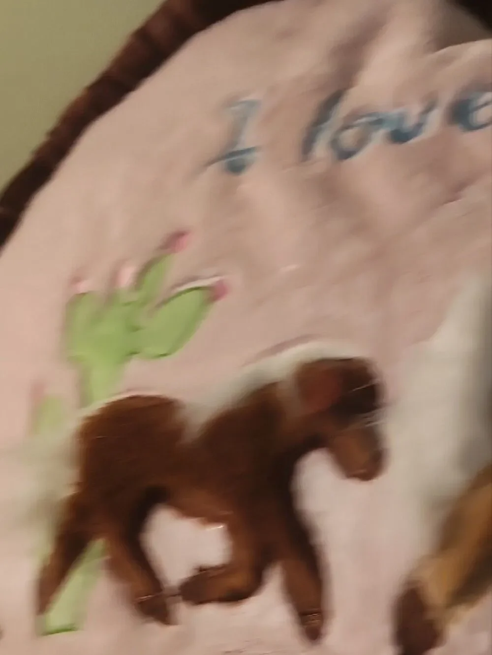Pink 'I Love Horses' Plush Back Rest Pillow